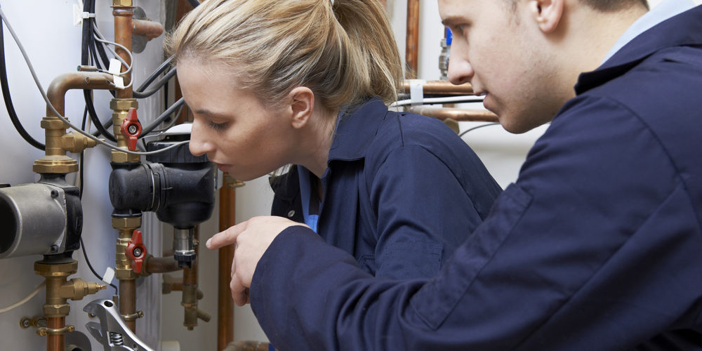 shutterstock_232178113