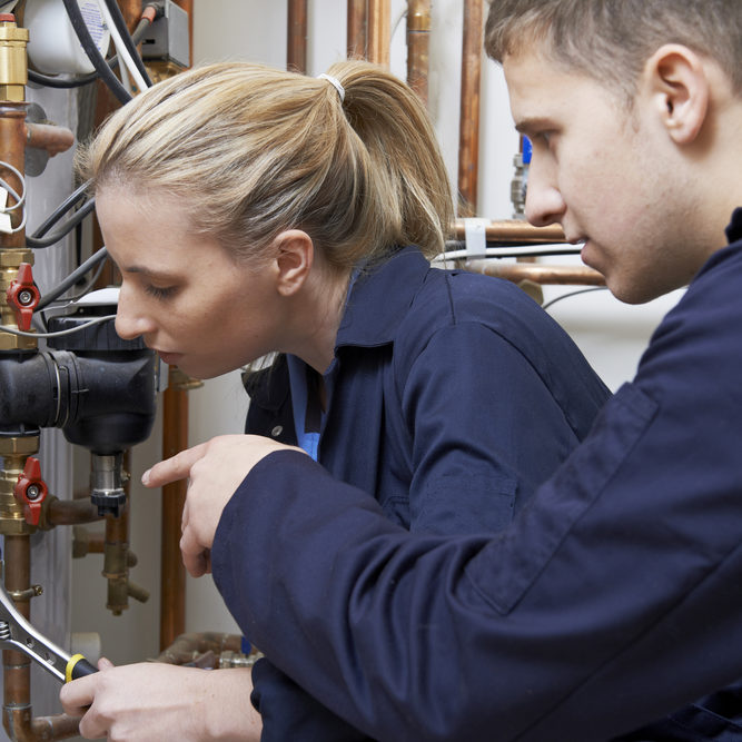 shutterstock_232178113