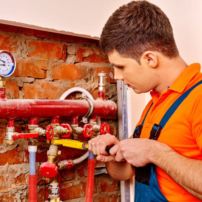 shutterstock_283003517