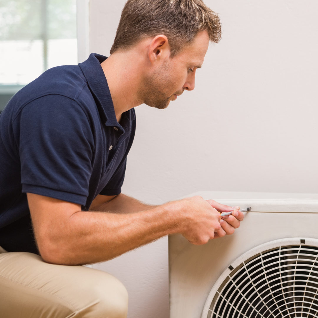 shutterstock_233622622